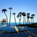 Coquina Palms